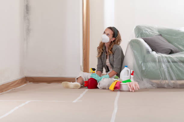 Reliable Mold Testing contractor in Ashton, MD by WQB Mold Removal